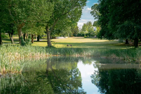 In unmittelbarer Nachbarschaft der Walterhöferstraße liegen drei Parks.